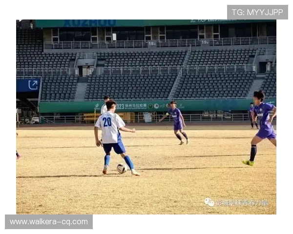 武汉羽毛球队在锦标赛中的卓越表现与力量分析 武汉羽毛球队在锦标赛中的卓越表现与力量分析