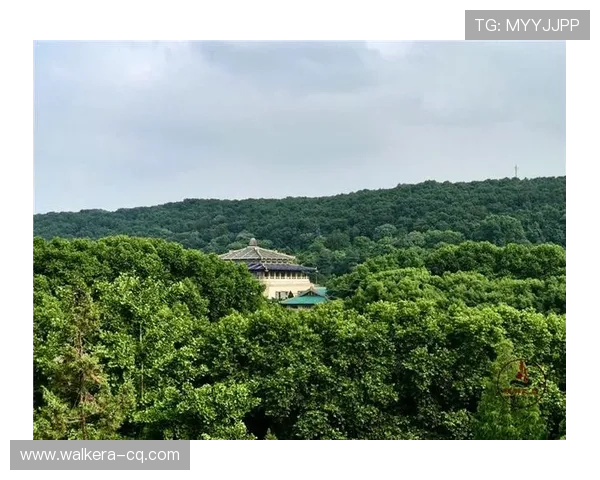 武汉羽毛球队在钻石联赛中的崛起与成长历程全景揭秘 武汉羽毛球队在钻石联赛中的崛起与成长历程全景揭秘