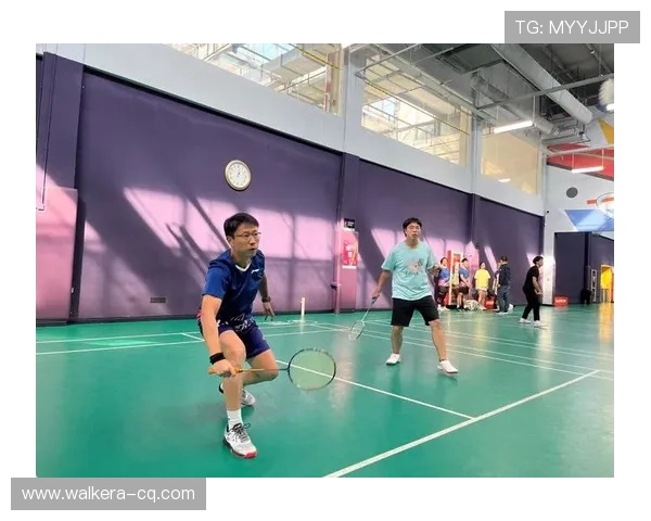 武汉羽毛球队防反战术解析及其在比赛中的应用与成效分析 武汉羽毛球队防反战术解析及其在比赛中的应用与成效分析