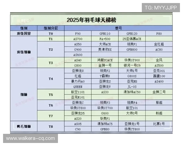 武汉羽毛球队选拔赛技术表现分析与未来发展方向探讨 武汉羽毛球队选拔赛技术表现分析与未来发展方向探讨