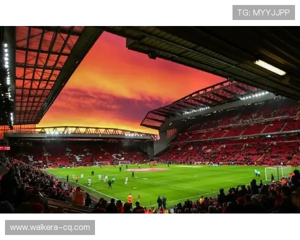 当足球明星闪耀登场时我被瞬间震撼的奇妙体验