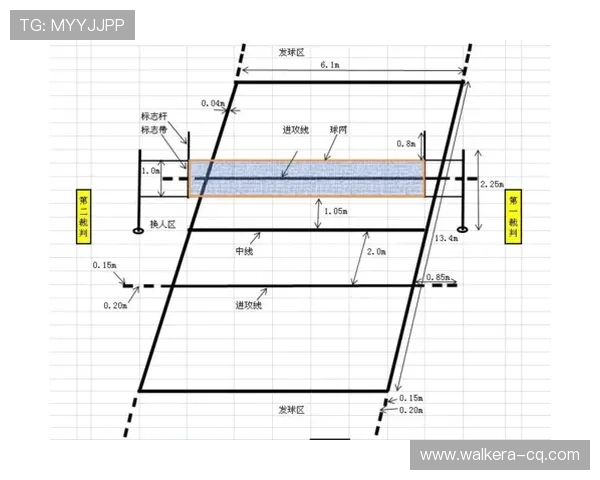 西安排球队战术解析与排球比赛策略深度剖析