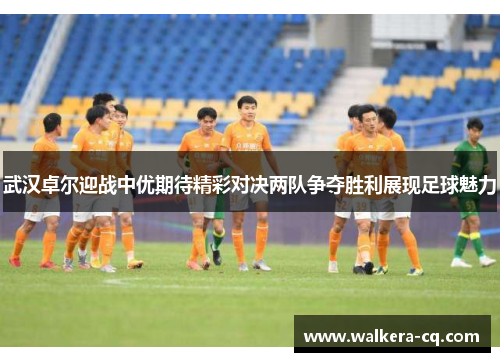 武汉卓尔迎战中优期待精彩对决两队争夺胜利展现足球魅力