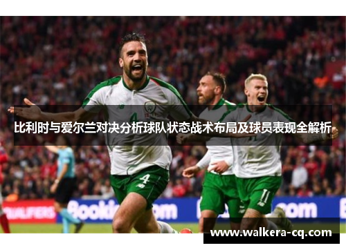 比利时与爱尔兰对决分析球队状态战术布局及球员表现全解析