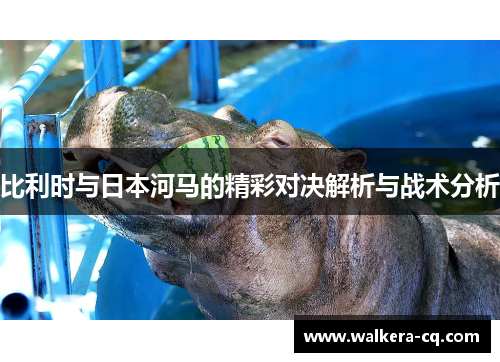比利时与日本河马的精彩对决解析与战术分析